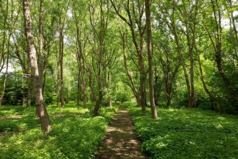 Property Image 29