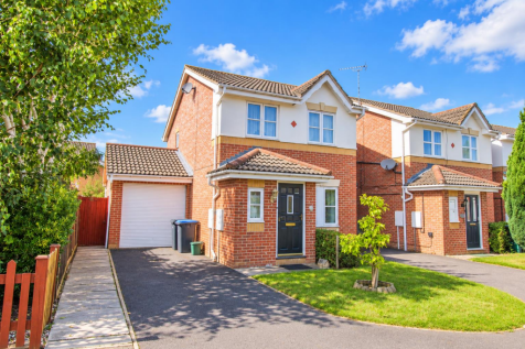 IMG4.png