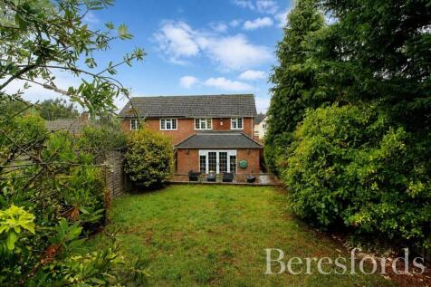 Rear Garden View 2