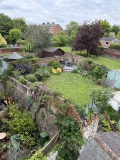Garden (3)