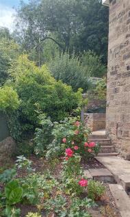 Side Garden.jpg
