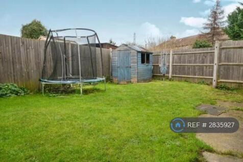 Back Garden