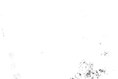 Image16