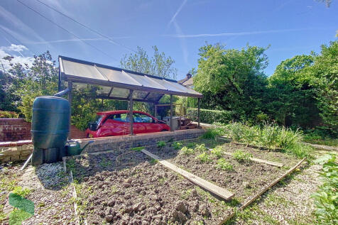 Vegetable Plot wi...