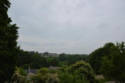 DSC_0970_lge.jpg