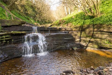 Farm Land for sale Image 6