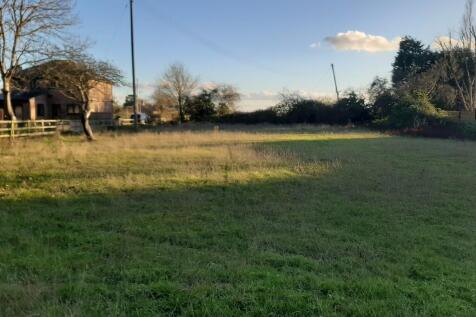 20241126_143839 (...