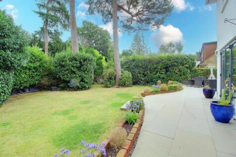 IMG_0205-IMG_0207 copy 2.jpg