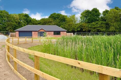 front aspect and foreground