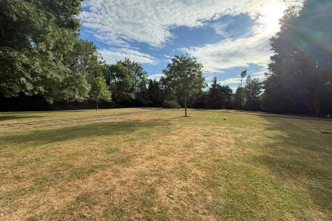 WhatsApp Image 20...