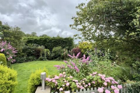 Luke Miller &amp; Associates