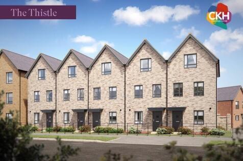 The Thistle