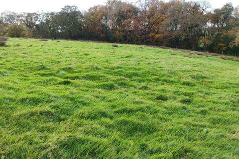 LOT 2 Paddock
