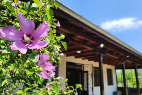 Close-up of pink flowers next to the wooden veranda of the house with white walls