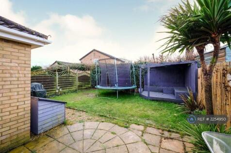 Back Garden