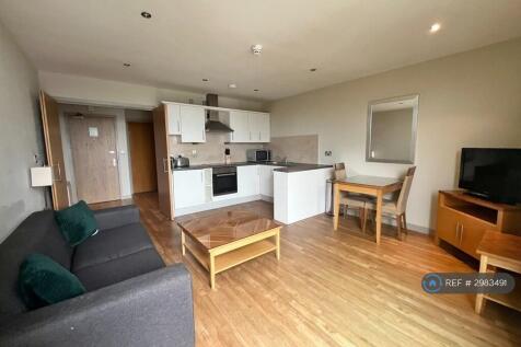 Living / Kitchen Area