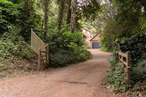 Property Image 45
