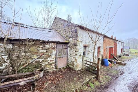 IMG 2928 T202602251401.jpg