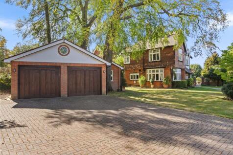 Property Image 42