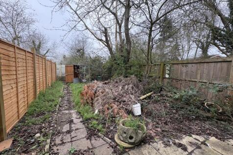 Garden  Medium  T202603041547.jpg