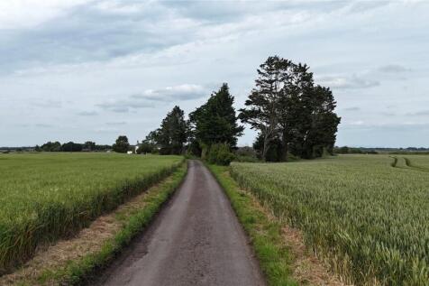 Country Lane