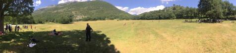 Picnic in the meadow