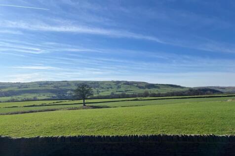 Photograph 29