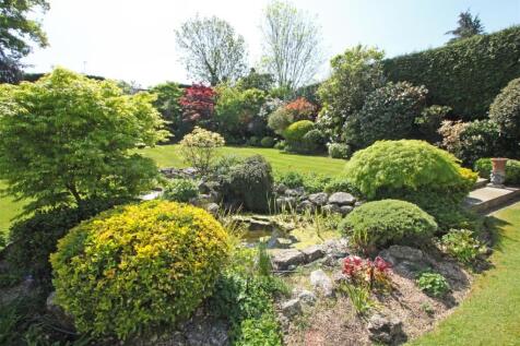 IMG_5106 pond garden.jpg