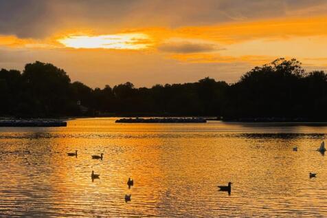 Serpentine sunset 