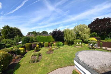 DSC_0361 - Copy (3).JPG