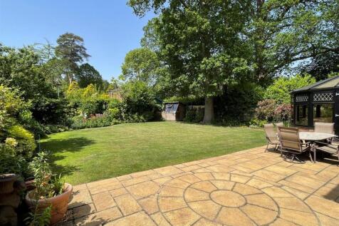new garden.jpg