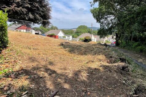 view across plot
