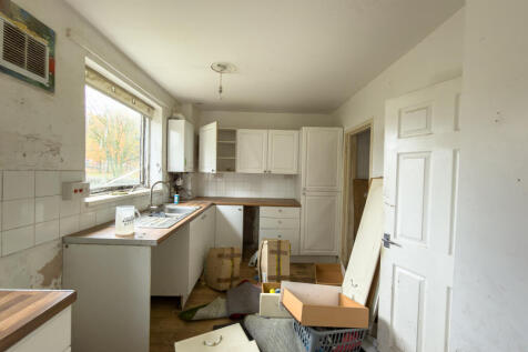 IMG 7432 T202511081225.jpg