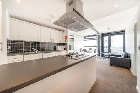 Kitchen/Living Area