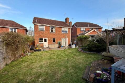 Rear of Property