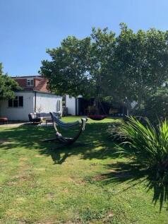 20240812164903073_original [980671229].jpg