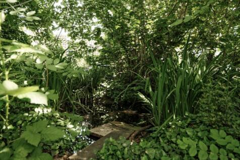 Allotment