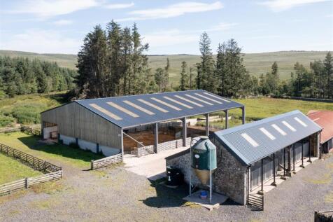 GP building/sheep shed &amp; kennels