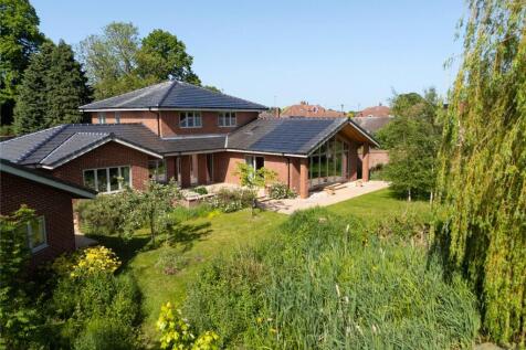 Rear Elevation