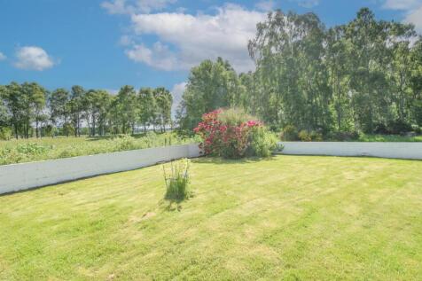 FRONT GARDEN.jpg