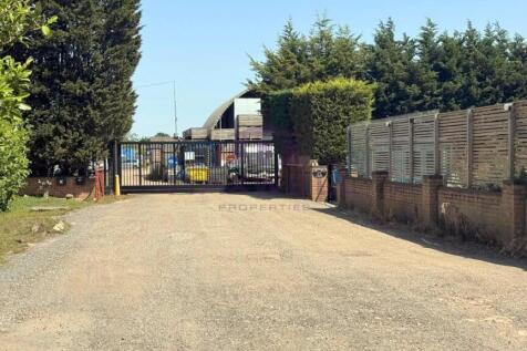 1.jpeg