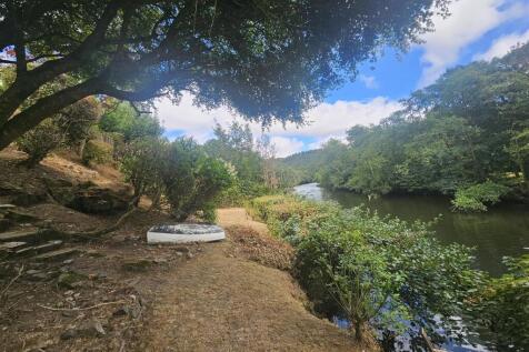 River and Garden.jpg