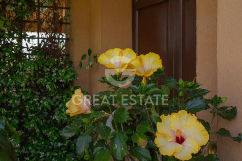 Panorama e Particolari