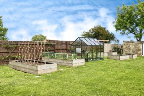 474296fe-Veg 20Plot 20edited.JPG