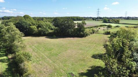 separate field