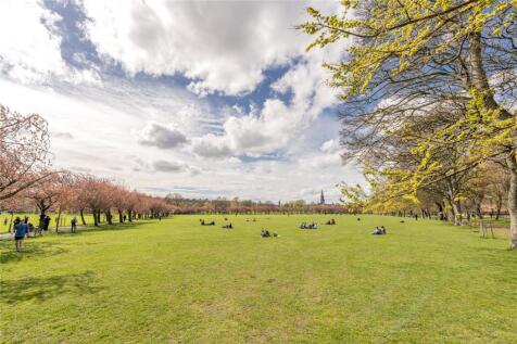 The Meadows