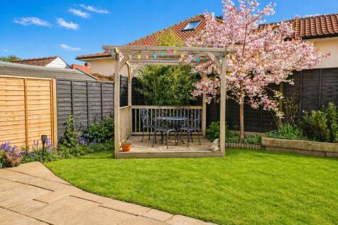 Rear garden II