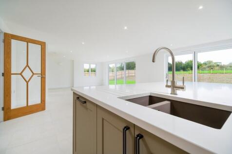 1440px-Elm Tree V...