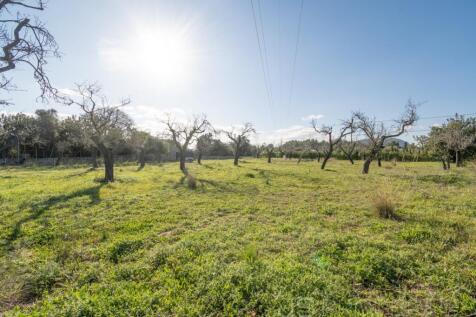 Land with license to build