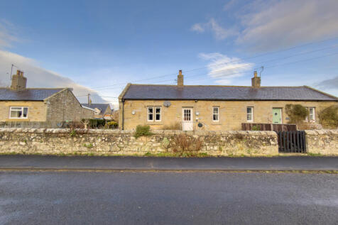 IMG 0421 2 T202601141957.jpg